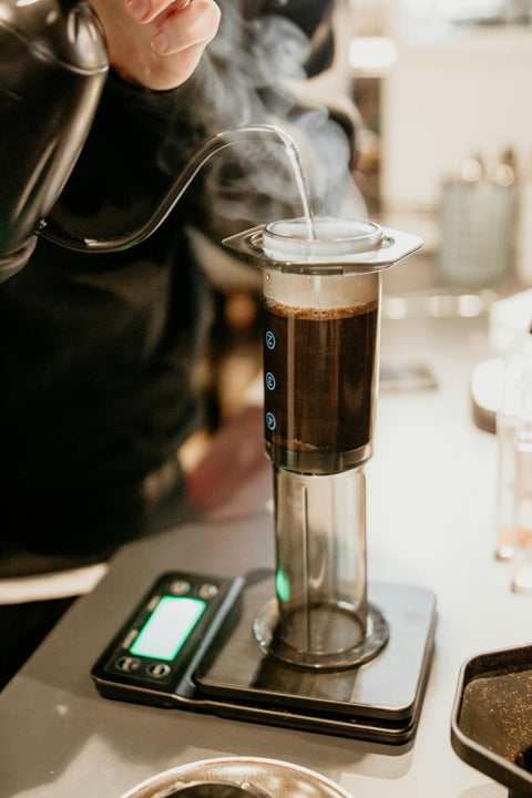 Aeropress (Traditional Method)