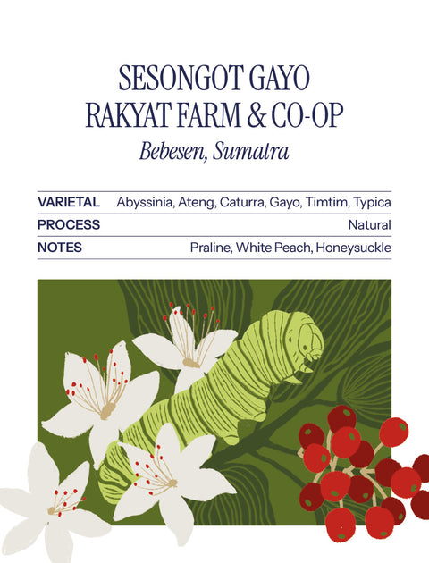 Sesongot Gayo