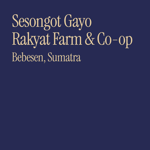 Sesongot Gayo